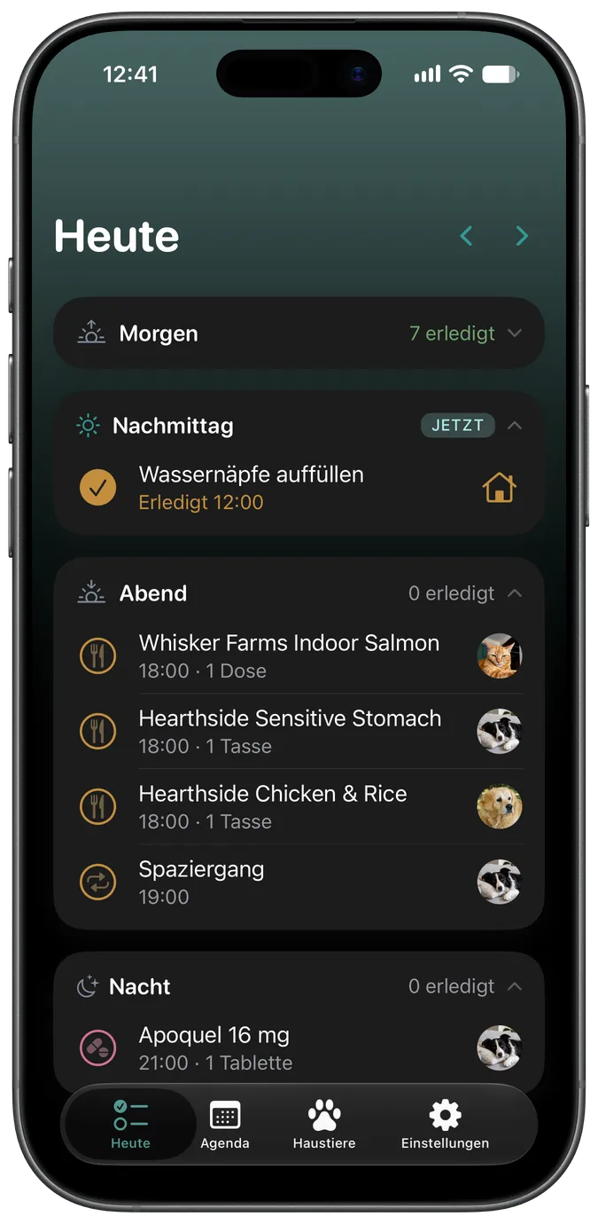 Der Heute-Tab von Snout zeigt die anstehende Pflege eines Hundes für den Tag