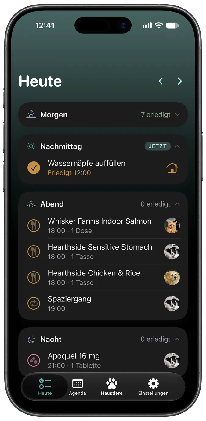 Der Heute-Tab von Snout zeigt die anstehende Pflege eines Hundes für den Tag
