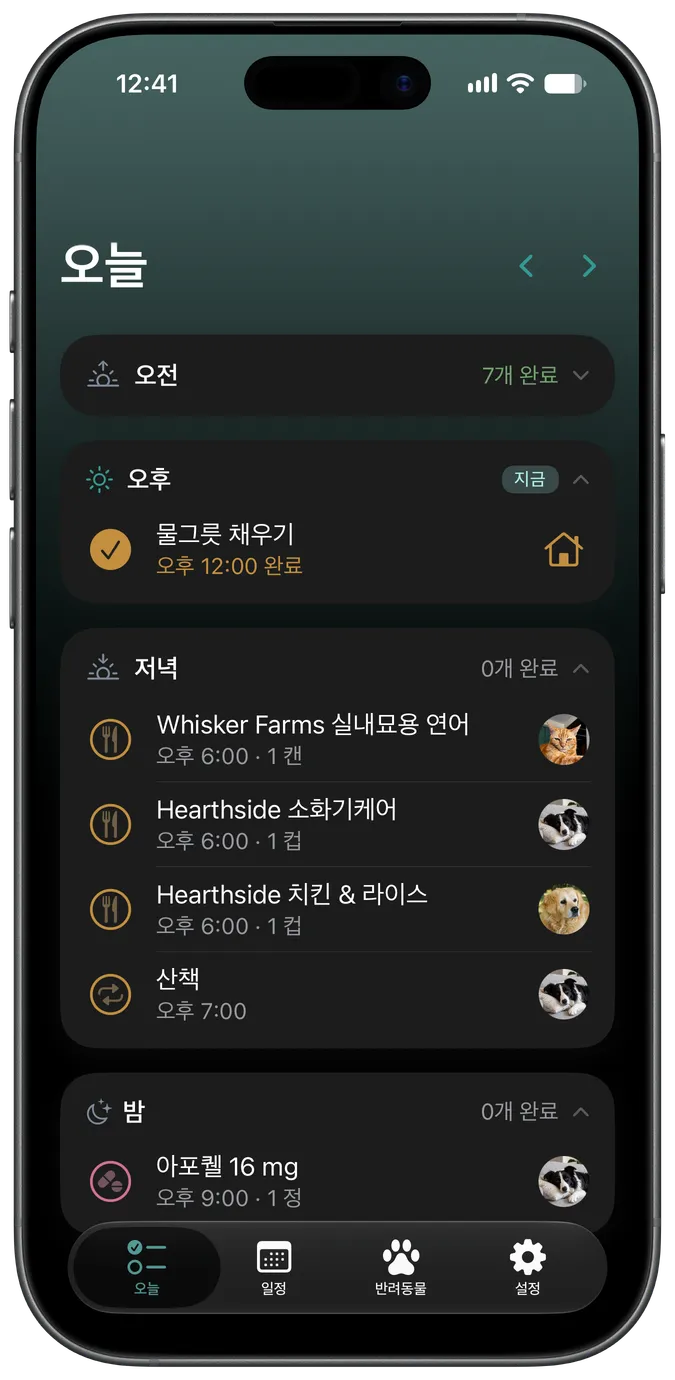 강아지의 오늘 할 일을 보여주는 Snout의 Today 탭