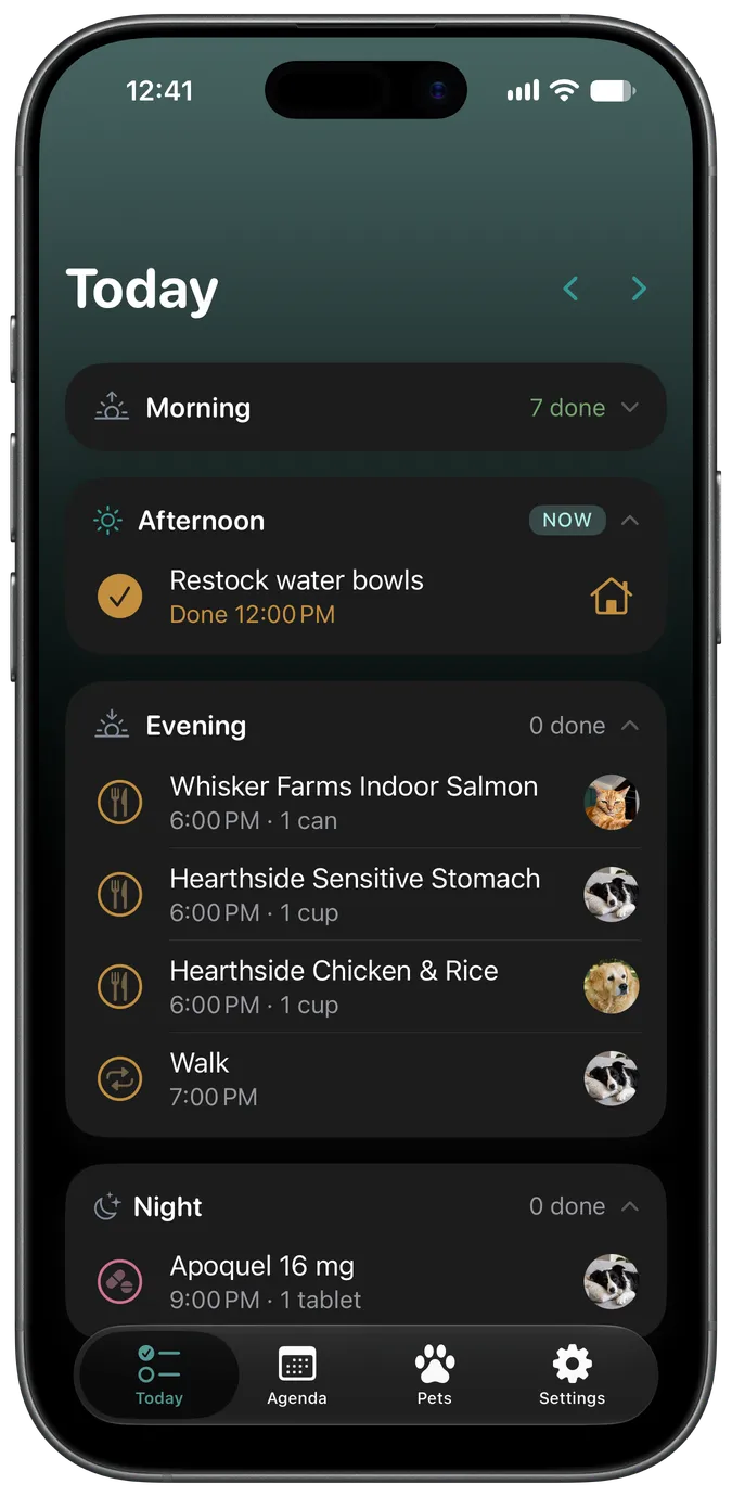 Snout's Today tab showing a dog's upcoming care for the day