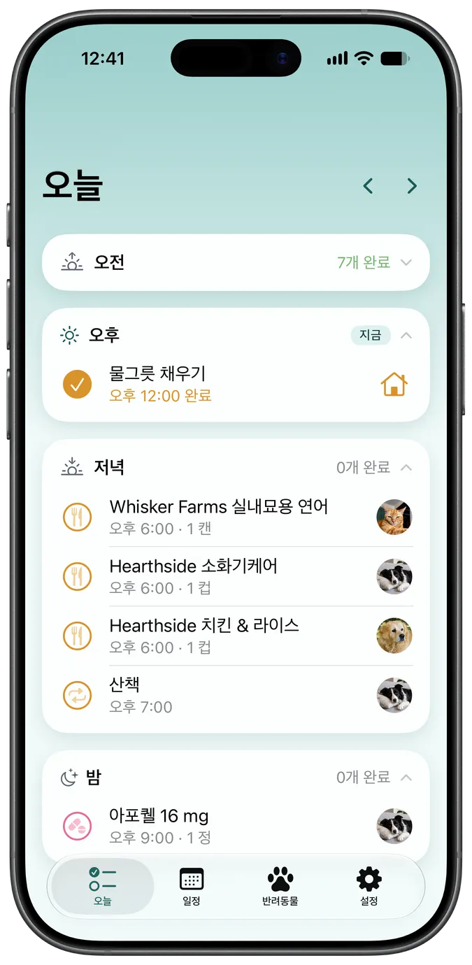 강아지의 오늘 할 일을 보여주는 Snout의 Today 탭