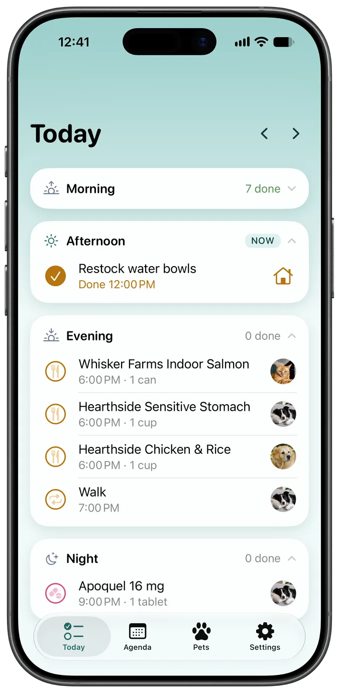 Snout's Today tab showing a dog's upcoming care for the day
