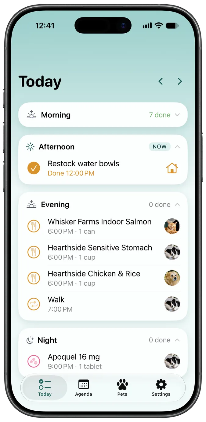 Snout's Today tab showing a dog's upcoming care for the day